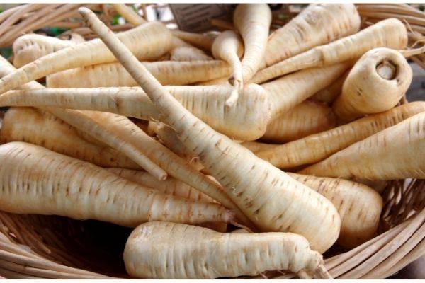 Parsnips Blog 1